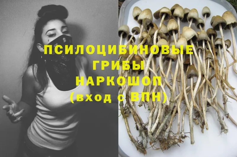 Галлюциногенные грибы MAGIC MUSHROOMS  цены   Любань 